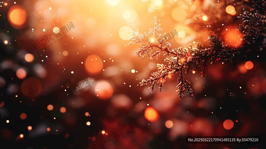 冬日暖陽下的雪景