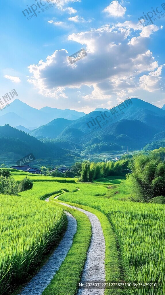 翠綠稻田 蜿蜒小徑 遠山背景