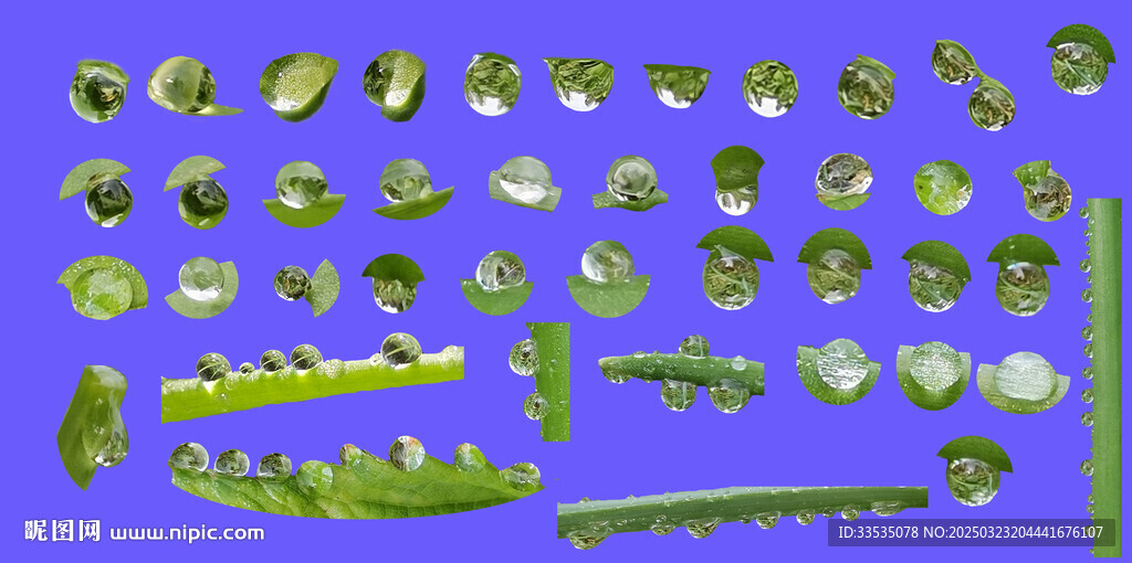 露珠素材