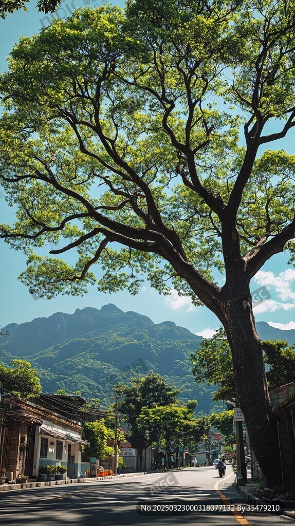 綠色山谷中的寧靜鄉(xiāng)村街道