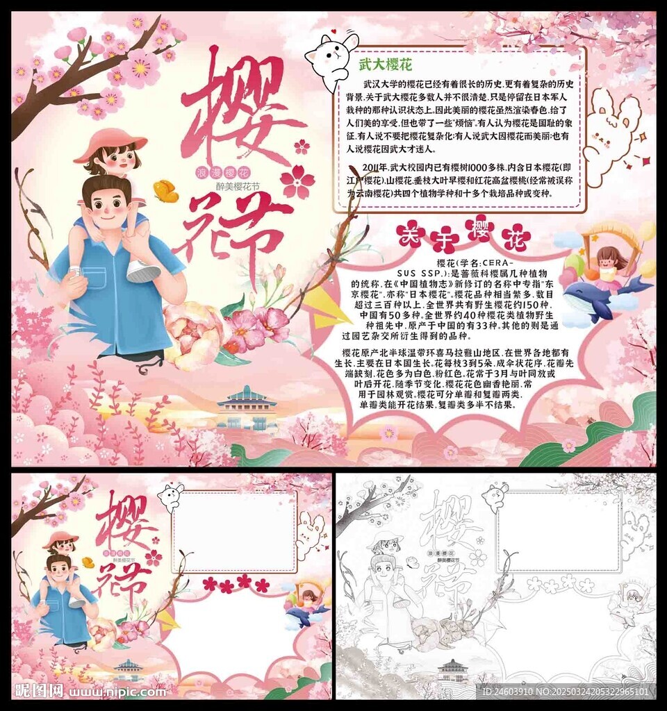 櫻花節手抄報