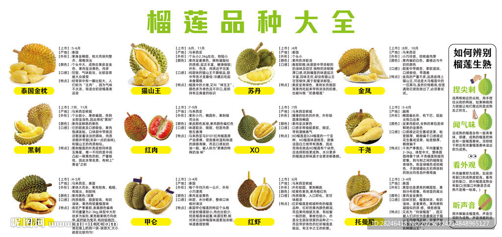 榴蓮簡介