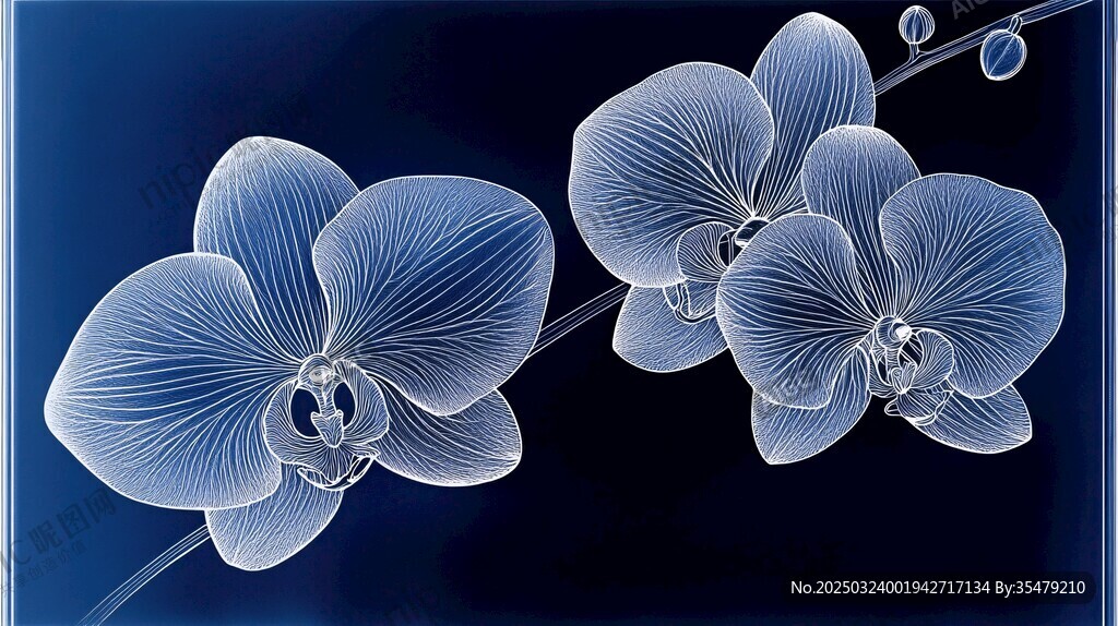 藍(lán)色蘭花藝術(shù)圖案