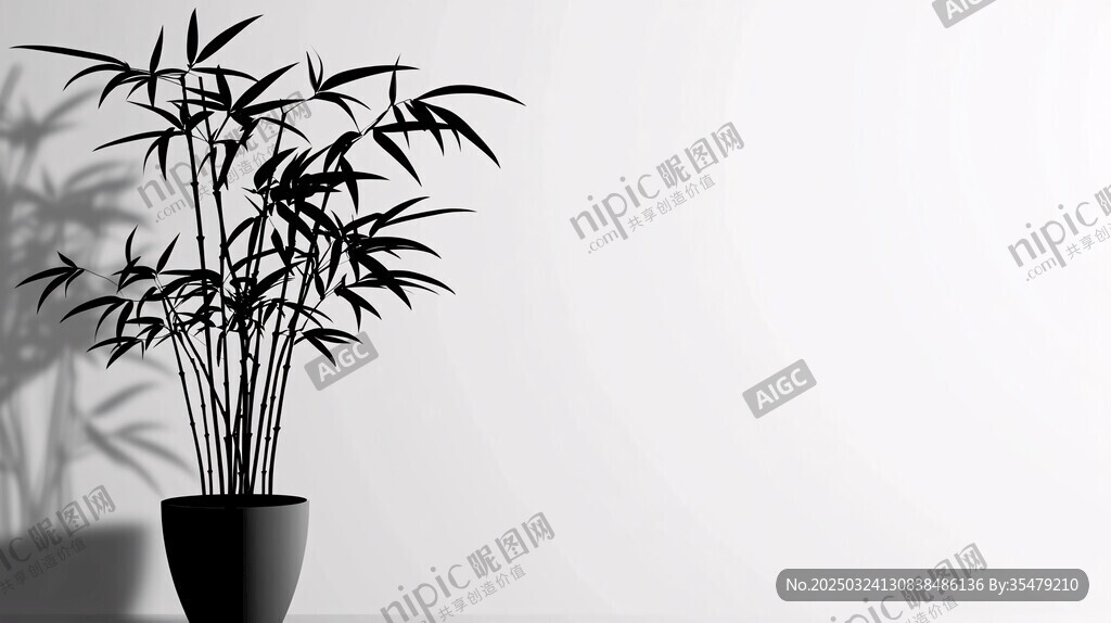 黑白風(fēng)盆栽竹子藝術(shù)照