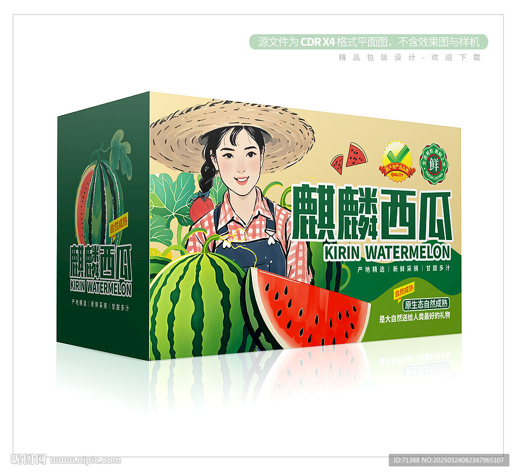 西瓜包裝盒