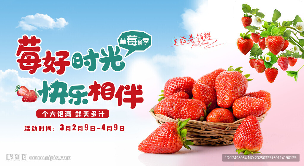 采摘草莓