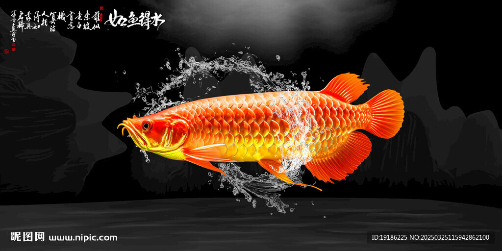 魚缸背景