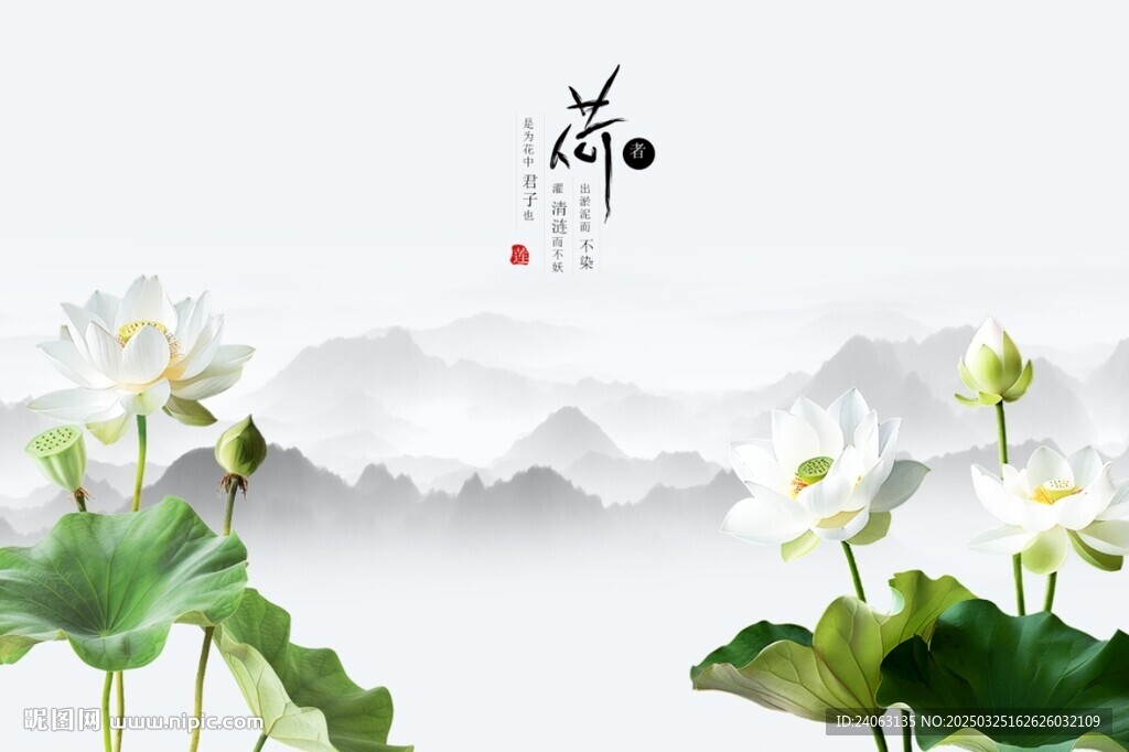 家和荷花背景墻