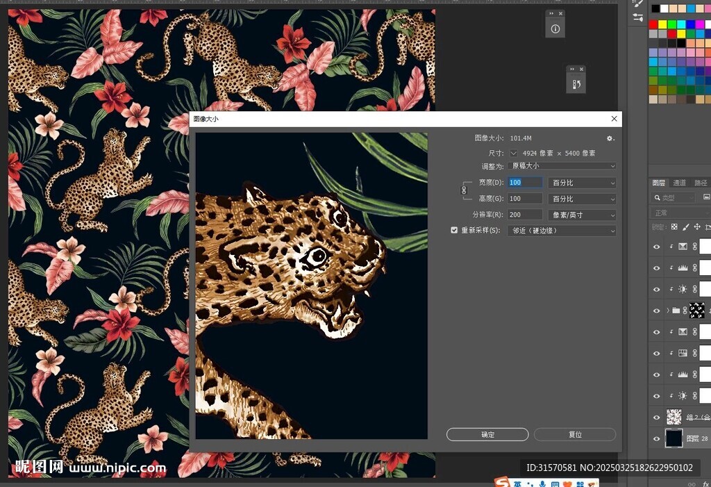 豹子花