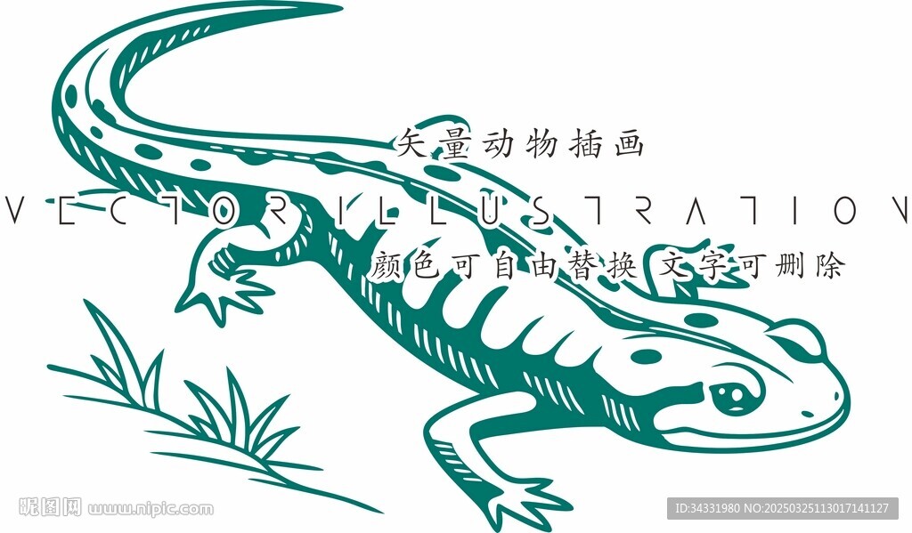 蜥蜴變色龍