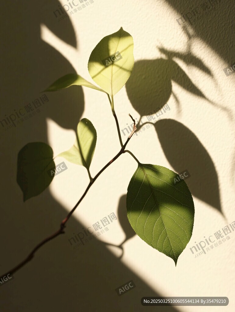 陽光下的嫩綠枝葉剪影
