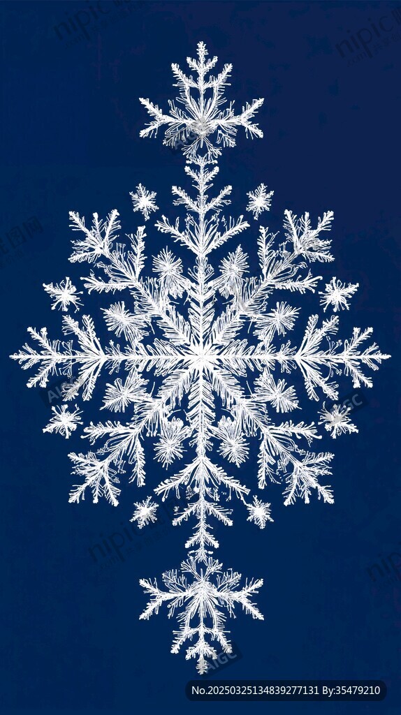 精美雪花圖案