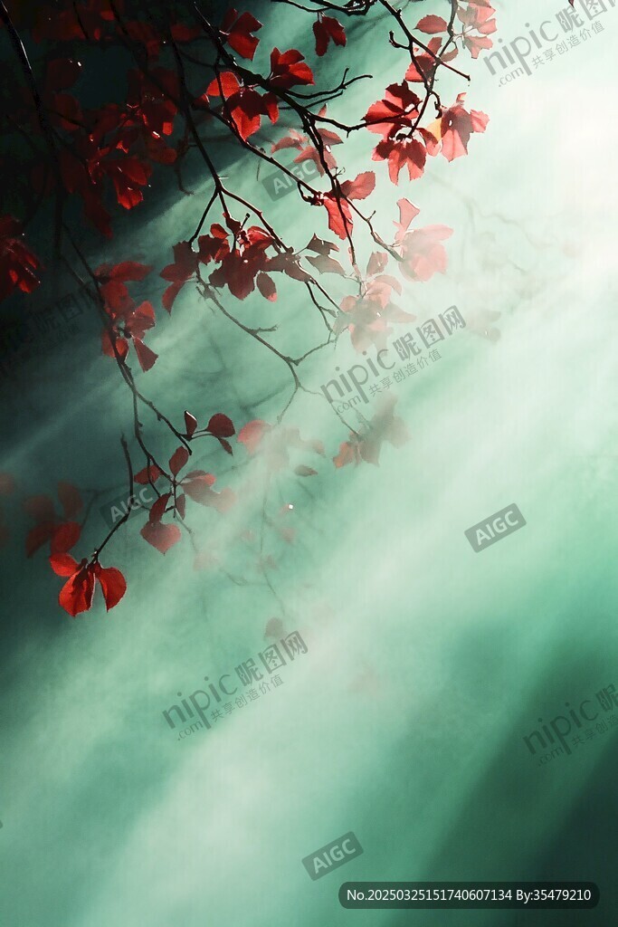 紅楓映光 朦朧綠意之美