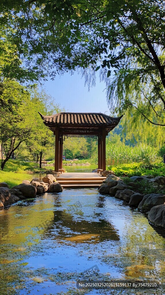中式園林水邊精致小亭