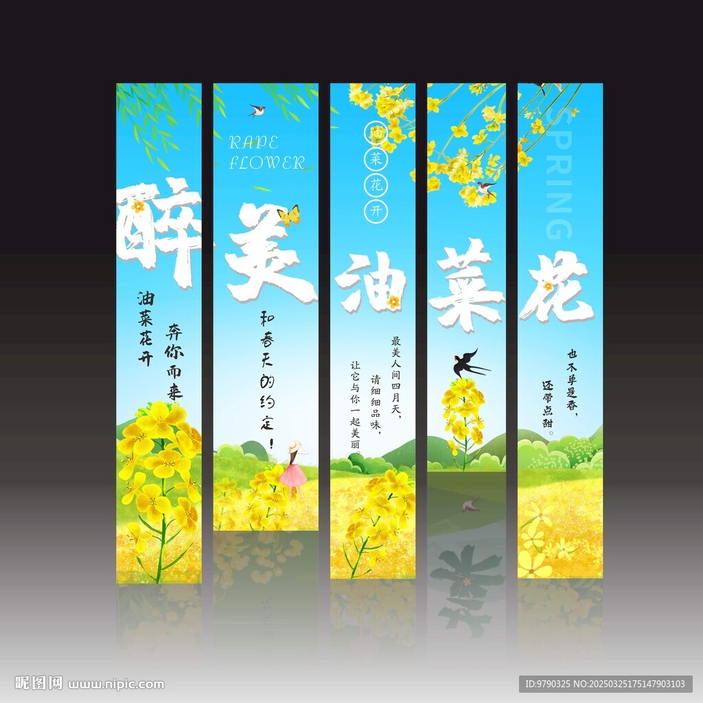 油菜花掛布