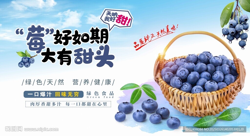藍莓海報