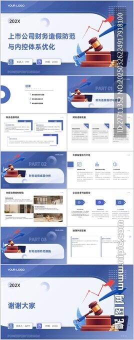 上市公司財務造假防范與內控體系
