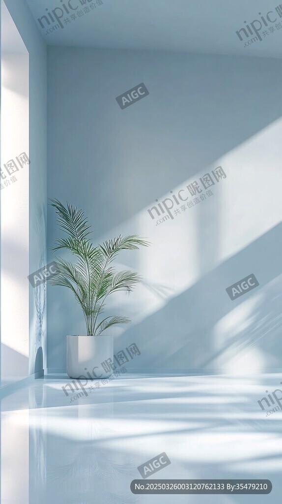 簡約室內一角綠植光影