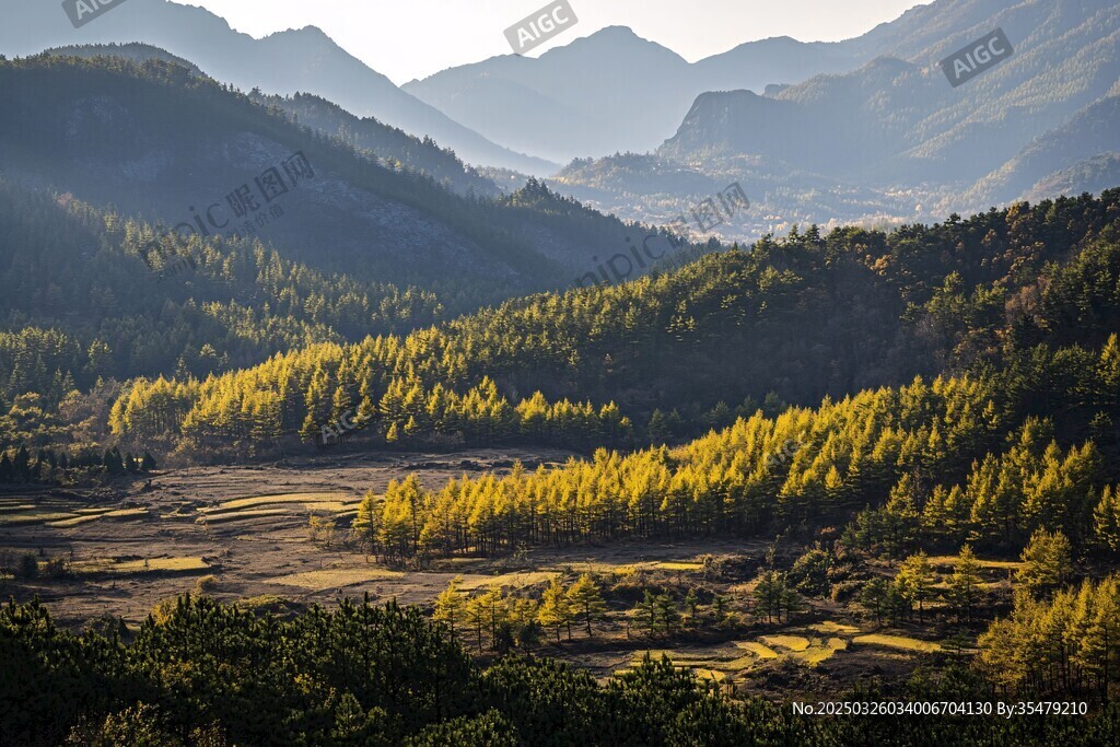 山間晨景 林茂山秀光影美