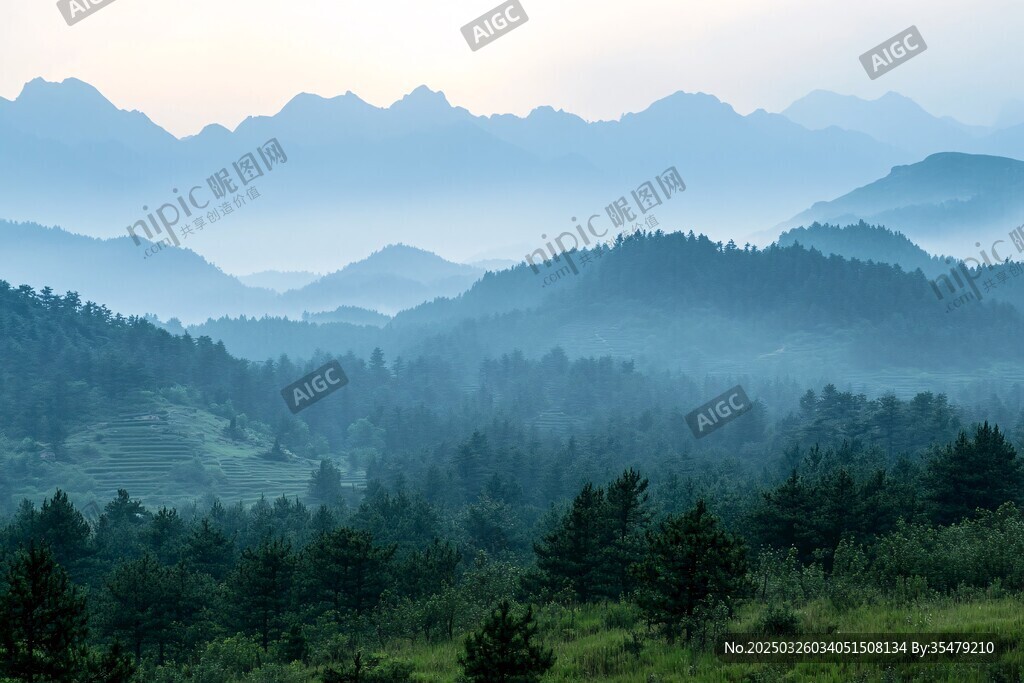 山間晨霧中的蔥郁林海