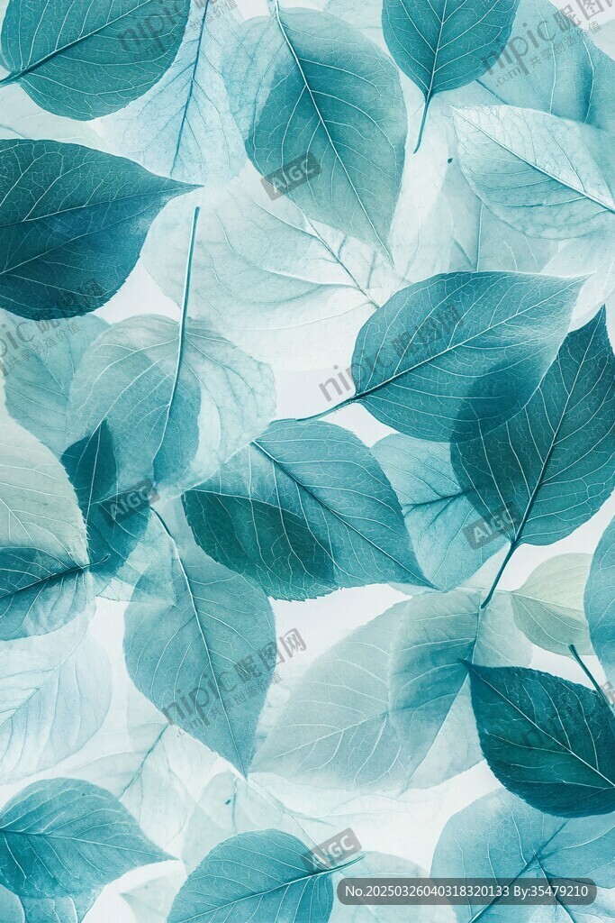 藍綠色樹葉紋理背景圖案