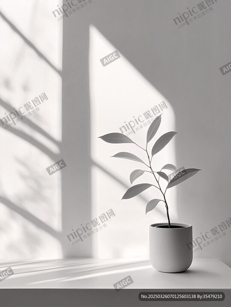 窗臺上的簡約綠植盆栽