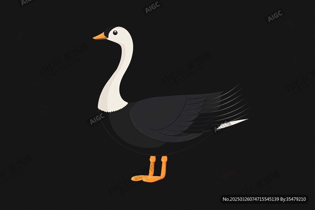 黑白鵝插畫