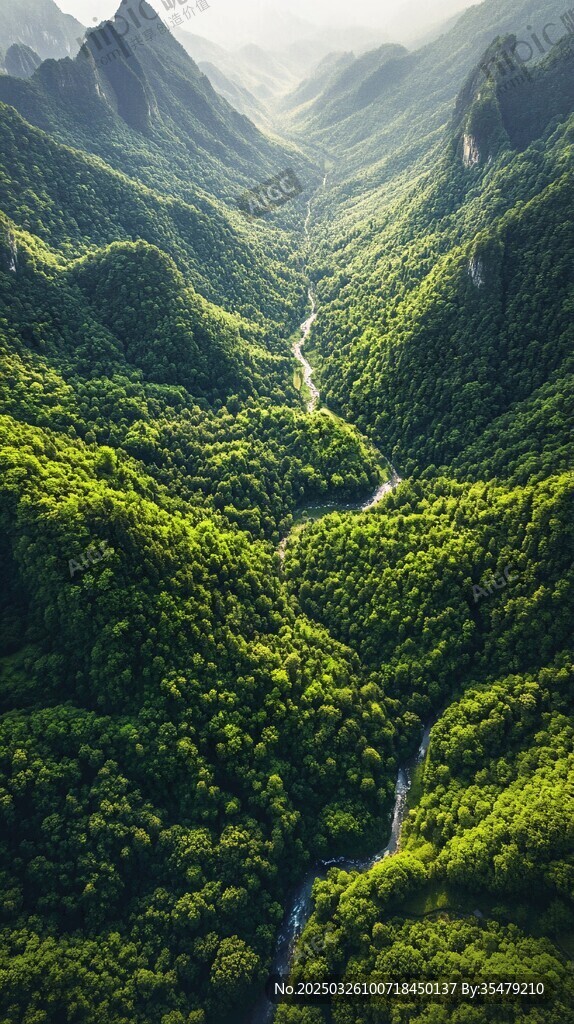 青山翠谷間的蜿蜒溪流