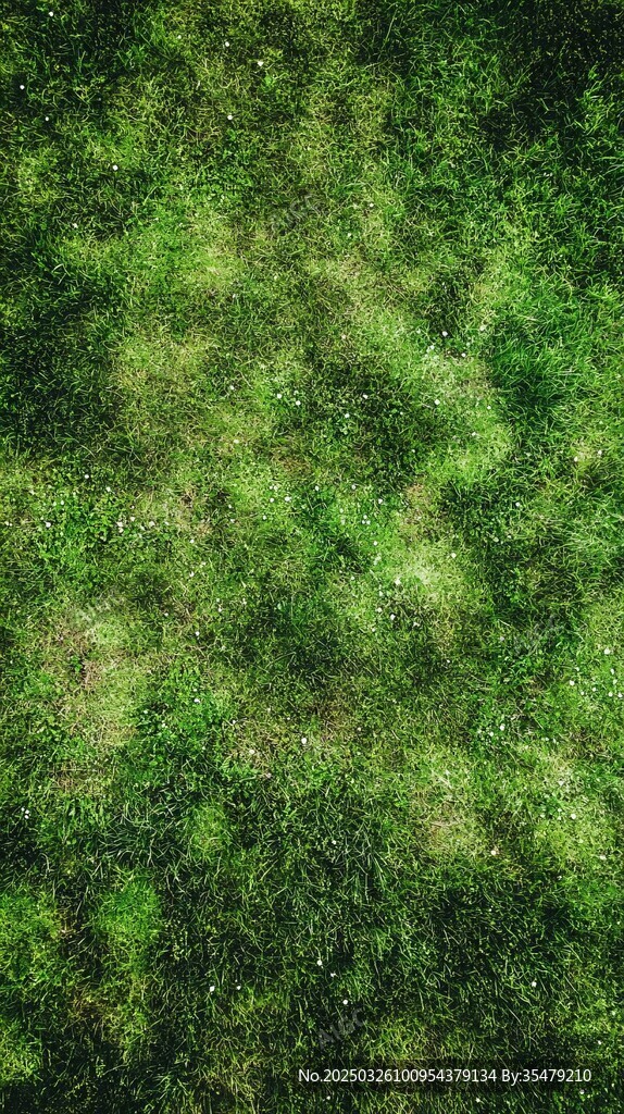翠綠草地俯視圖