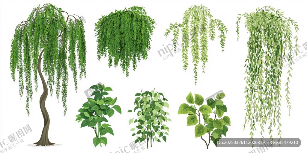 垂枝綠植集合圖