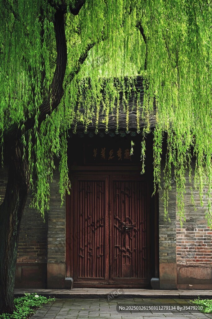 垂柳映古門 中式清幽景