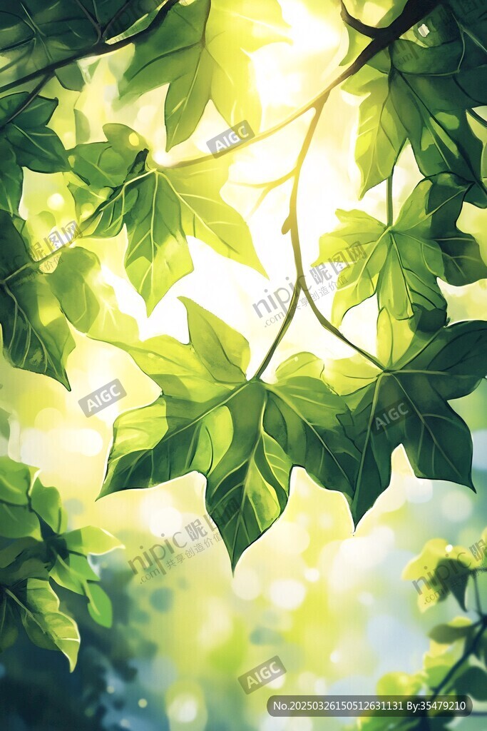 陽光透過綠葉的清新景致