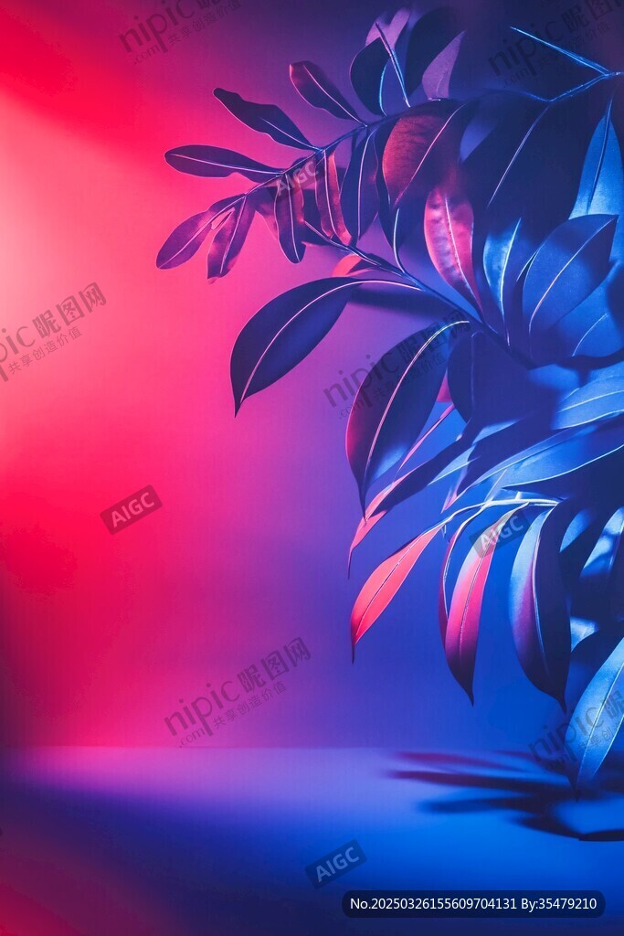 夢幻紅藍(lán)漸變中的植物葉片