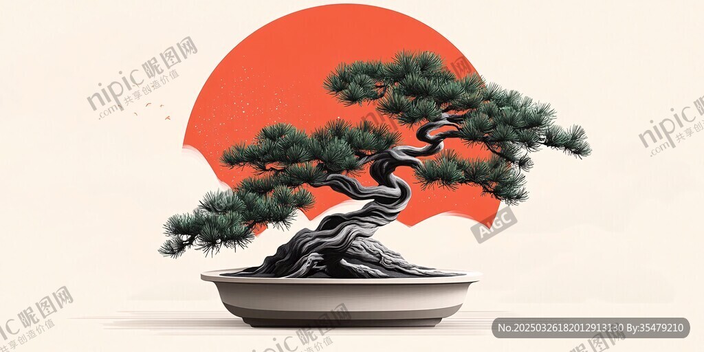 紅日下的蒼勁盆景松樹