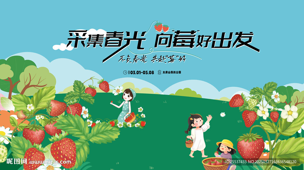 草莓采摘活動