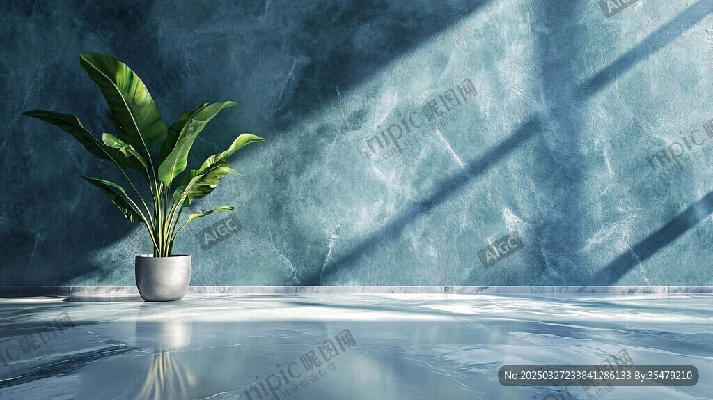 室內綠植光影靜謐場景