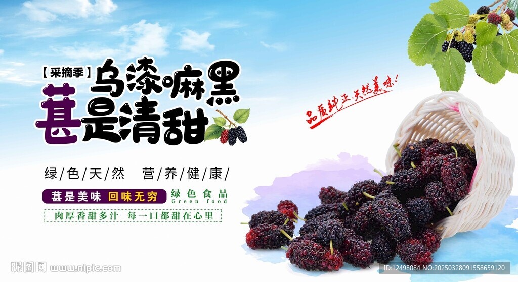 新鮮桑葚