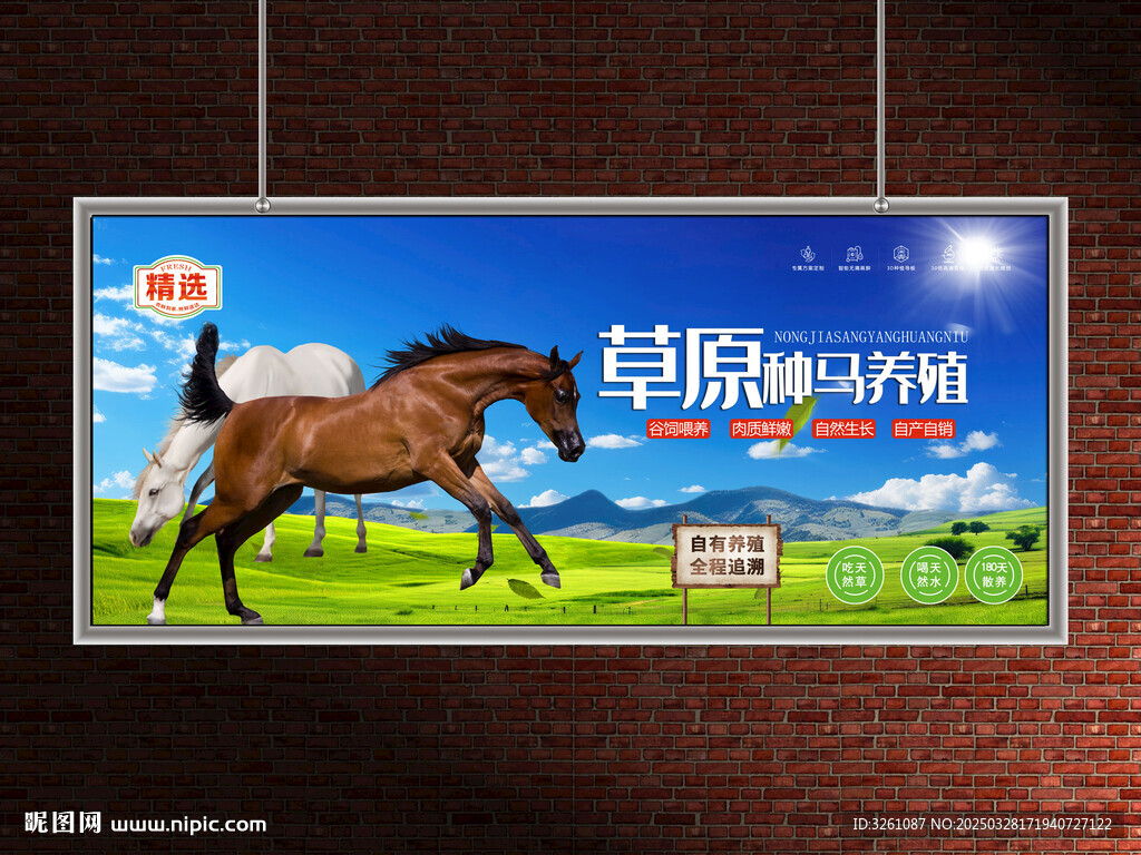 馬養(yǎng)殖展板