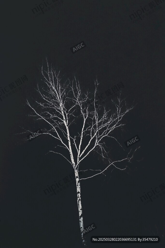 孤獨枯樹于暗夜