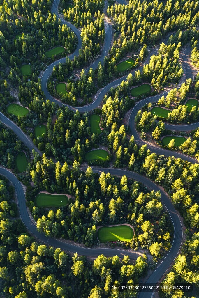 空中俯瞰蜿蜒的森林公路