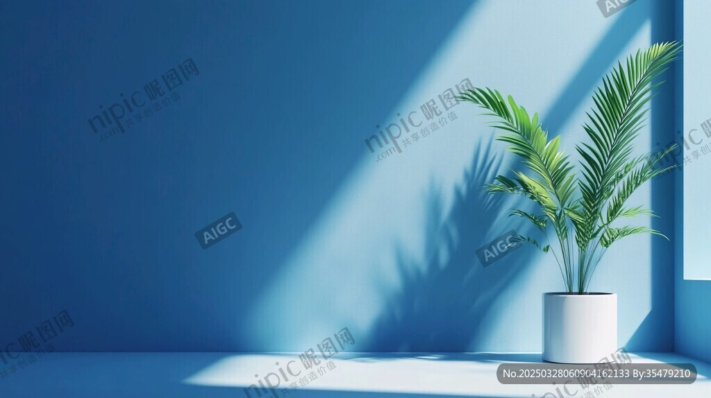 藍墻下的綠植光影之美