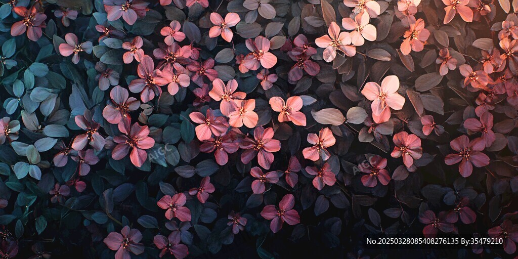 繁花簇?fù)淼膲?mèng)幻植物圖景
