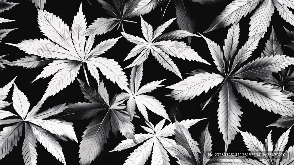 黑白大麻葉圖案背景