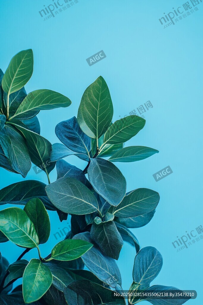 藍天下的翠綠葉片