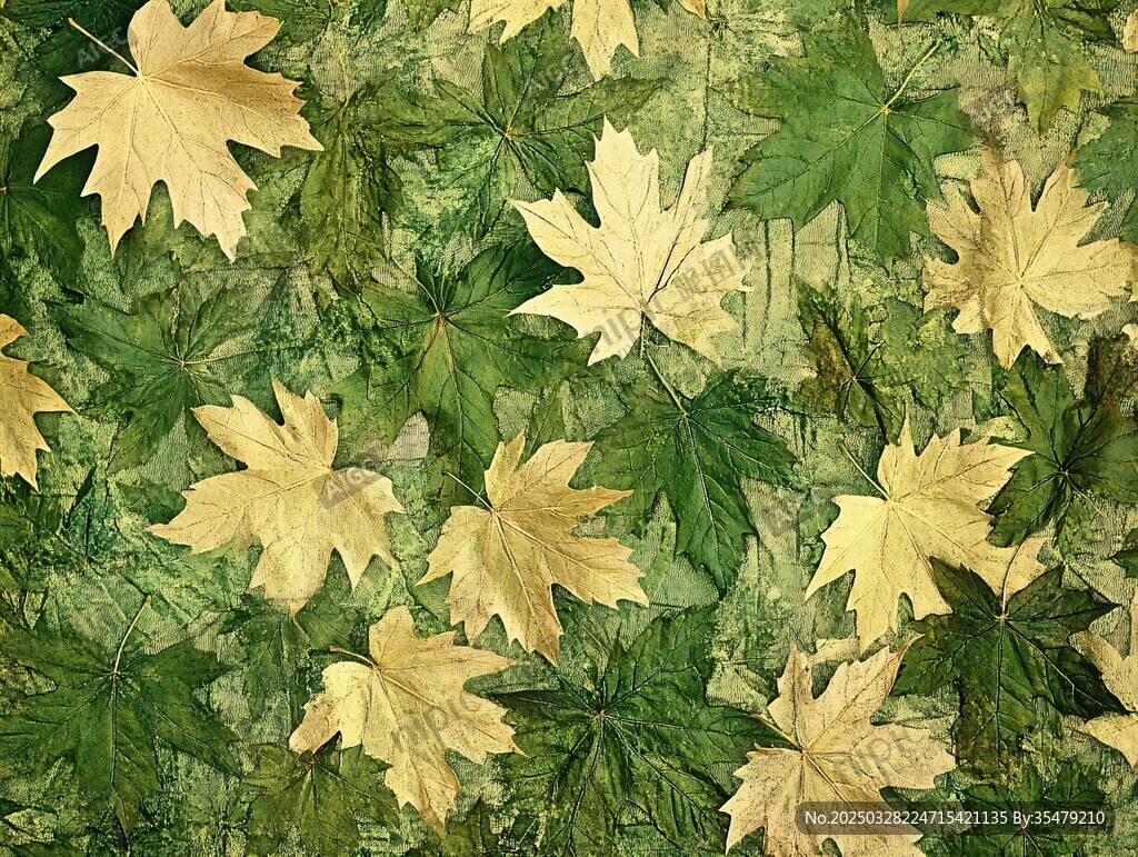 金黃楓葉點綴翠綠背景