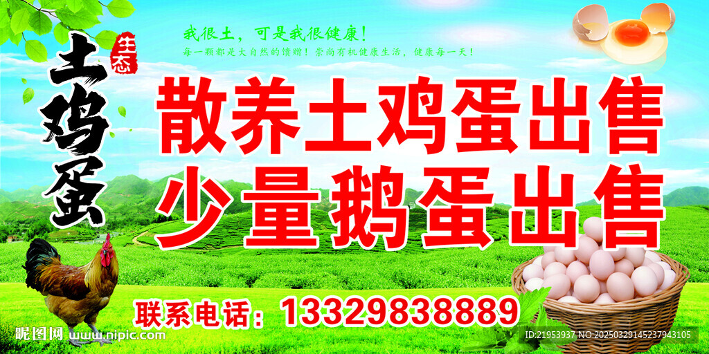 土雞蛋