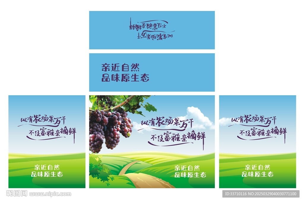 葡萄禮盒