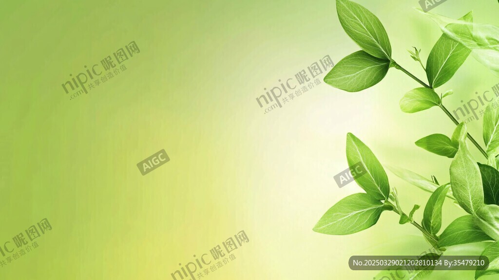 清新綠葉背景圖