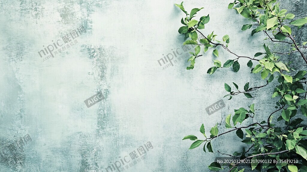 綠葉倚灰墻 清新自然景