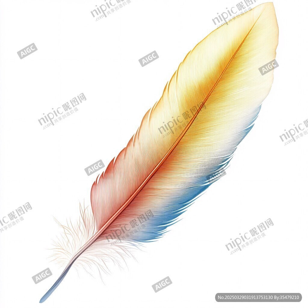 夢(mèng)幻多彩羽毛插畫